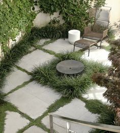 an outdoor area with chairs and plants on the ground