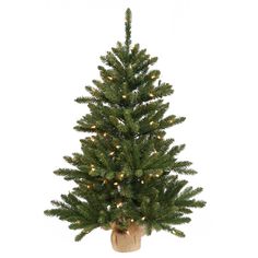 Vickerman Anoka Pine Artificial Christmas Tree featuring PVC tips. This little tree comes has rich green PVC tips, and is fixed in a decorative Burlap Base. It's the perfect accent to any holiday décor. Burlap Christmas Tree, Colored Led Lights, Pine Christmas Tree, Christmas Tabletop, Tabletop Christmas Tree, Autumn Decorating, Green Christmas Tree, Artificial Tree, Christmas Store