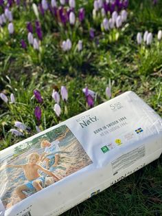 a baby's diaper laying on the ground in front of some purple flowers