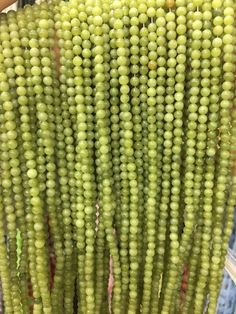 a bunch of green grapes hanging from the ceiling