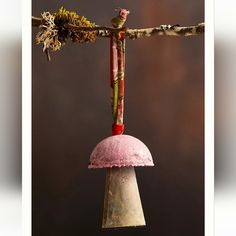 a bell hanging from a tree branch with moss growing on it's top and bottom