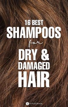 16 Best Shampoos For Dry And Damaged Hair In India: If your morning routine includes 80% of cribbing and 20% of praying for flawless hair, we can totally relate to it. Hence, this article! Take a look at the list and brace yourself for better hair days to come.Let’s now take a look at the best shampoos for dry and damaged hair. #Hair #HairCare #Shampoos #DryHair #DamagedHair Shampoo For Dry Hair, Beauty Hacks That Actually Work, Dry And Damaged Hair, Best Shampoo, Shampoo Reviews, Girls Short Haircuts, Shampoo For Curly Hair, Dry Damaged Hair