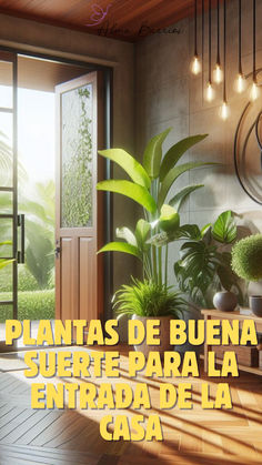 a room with plants in it and the words plantas de buena suree para la entrada de la casa