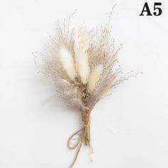 dried flowers on white background with caption that reads,'a5a '