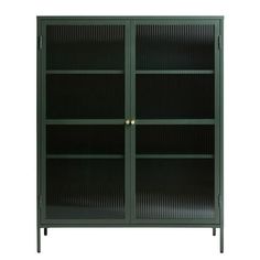 a green bookcase with two doors and three shelves