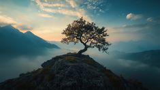 Nature 4k, Tree Mountain, Ultra Hd 4k Wallpaper, Galaxy Book, Nature Scenery, 8k Wallpaper, Mountain Sunset, Sunset Nature