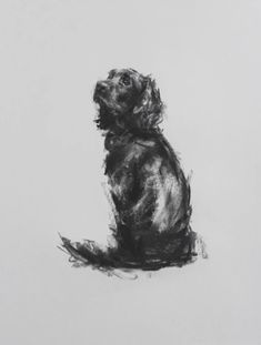 a black and white drawing of a dog sitting on its hind legs looking up at the sky