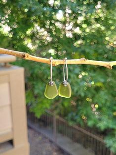 two green earrings hanging from a tree branch