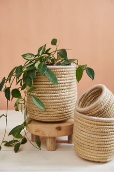 two woven baskets sitting next to each other on top of a wooden stand with plants growing out of them