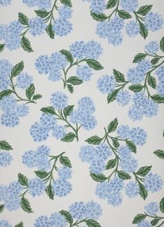 blue flowers and green leaves are on a white wallpapered background, with small green leaves in the center