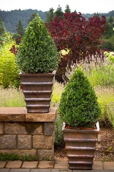 two large planters sitting next to each other on top of a stone block wall