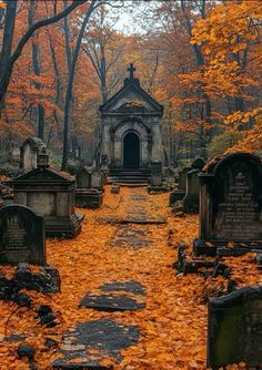 an old cemetery in the fall with leaves on the ground