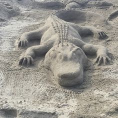 a sand sculpture of a lizard laying on the beach with its mouth open and it's eyes closed