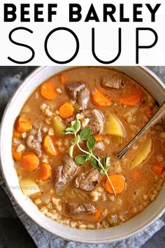 beef barley soup in a white bowl with carrots and parsley