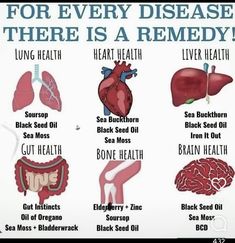 Lungs Health, Herbal Healing, Black Seed Oil, Holistic Remedies, Health Knowledge