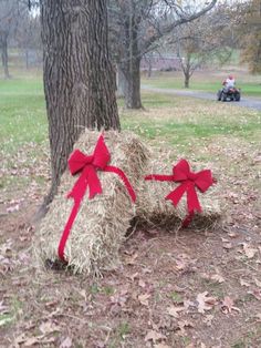 two hay bales with red bows tied to them sitting in the grass next to a tree