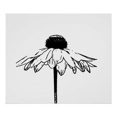 a black and white drawing of a flower