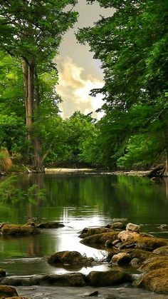 a river surrounded by lush green trees and rocks