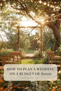 an outdoor ceremony with string lights and wooden chairs under a tree in the middle of it