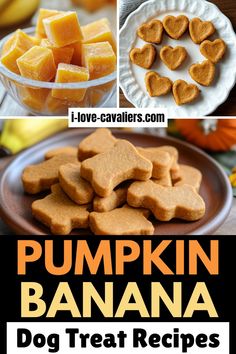 pumpkin banana dog treat recipe with text overlay that reads, pumpkin banana dog treat recipes