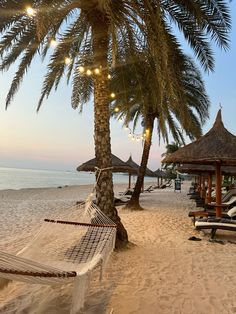 a hammock on the beach with lights strung from it's palm trees