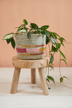 a basket sitting on top of a wooden stool next to a plant