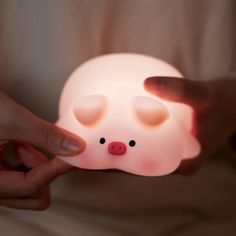 a person is holding a small light up pig