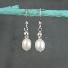 These beautiful, simple earrings are silver plated with genuine pearls. Measurements: 7mm wide, 1 5/16 inches from the top of the earwire These earrings have been steam cleaned and sanitized. They are non returnable. Classic Sterling Silver Nickel-free Pearl Earrings, Classic Nickel-free Sterling Silver Pearl Earrings, Classic Silver Pearl Earrings With French Hook, Classic Teardrop Nickel-free Pearl Earrings, Classic Nickel-free Pearl White Earrings, Classic Nickel-free Silver Pearl Earrings, Silver Dangle Pearl Earrings With French Hook, Silver Pearl Earrings With French Hook For Gift, Nickel Free Classic Dangle Pearl Earrings