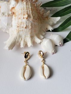 Stud earrings so chic and easy to wear. Quality gold plated brass cowries wire wrapped to a natural white cowry shell. Hangs 1.5" total. Cowry Shell, Cowrie Shells, Cowrie Shell, Gold Stud, Shell Earrings, Gold Studs, Wire Wrapped, Jewelry Earrings Dangle, Hippie Boho