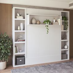 a living room with white shelving and potted plants on the shelf next to it