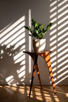 a potted plant sitting on top of a wooden table in front of a window