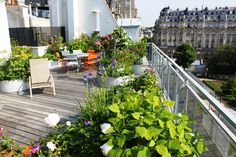 a balcony with lots of plants and flowers on the ground next to buildings in the background