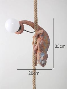 a chamelon hanging on a rope with a white ball attached to it's end