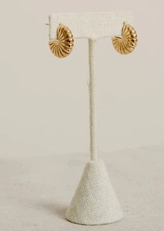 Get beachy with these Vincent Gold Shell Earrings! Featuring a perfect summer shell design on gold hoops, these earrings will add a touch of whimsy to any outfit. Materials: Stainless Steel, Tarnish-Free, Water Resistant Shell Design, Shell Earrings, Gold Hoops, Perfect Summer, Shells, Water Resistant, Stainless Steel, Water, Gold