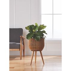 a potted plant sitting on top of a wooden stand next to a chair and window