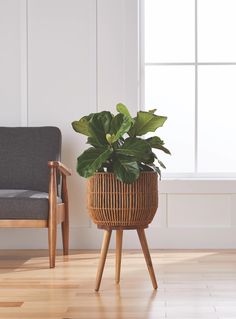 a potted plant sitting on top of a wooden stand next to a gray chair