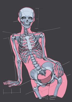 an image of a skeleton sitting on the ground