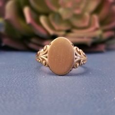 Beautiful oval signet ring in a Victorian revival style with filigree flourish design. This ring is unisex and would great on anyone! The ring can be taken to a local jeweler and monogramed.  Metal: 10k yellow gold Measurements: Center measures 14.48 x 10.15mm  Ring Size: 10 (Can be resized by a jeweler)  Time Period: Mid Century Victorian Signet Ring, Antique Oval Signet Ring With Polished Finish, Classic 14k Gold Engraved Ring With Intricate Design, Classic Yellow Gold Rings With Intricate Design, Oval Engraved Ring With Classic Design, Victorian Oval Signet Ring With Polished Finish, Antique Oval White Gold Signet Ring, Formal Oval Engraved Filigree Ring, Classic Oval Engraved Ring With Filigree