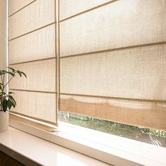 a plant in a vase sitting on a window sill