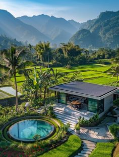 an aerial view of a lush green rice field with a pool in the foreground