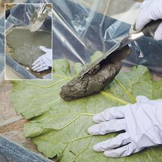 a person in white gloves cutting up leaves