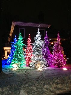 brightly lit christmas trees in front of a house