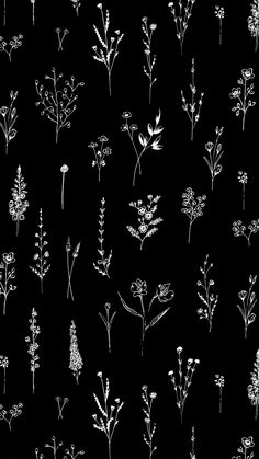 black and white flowers are shown in this pattern on a dark background, as well as the outlines of leaves