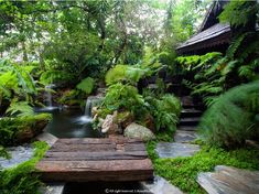 a garden with rocks, plants and water in the middle of it is surrounded by greenery