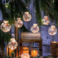 lighted christmas ornaments hanging from a pine tree with candles in the foreground and evergreen branches behind them