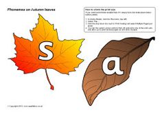 an autumn leaf with the letter s on it and another fall leaf with the letter e