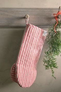 an oven mitt hanging on a wall with a green plant in front of it