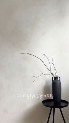 a black vase sitting on top of a table next to a wall with a plant in it