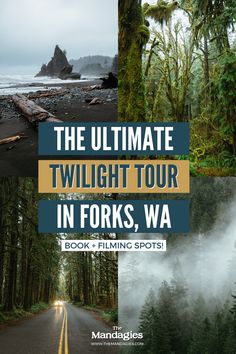 the ultimate travel guide to twilight tour in forks, wa from book + film spot