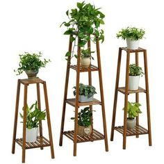 three wooden plant stands with plants in them